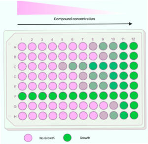 96 WELL PLATE ASSAY