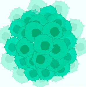 GREEN CELLS